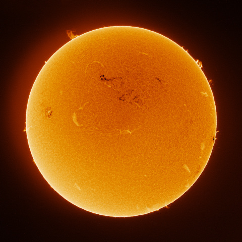 Sun 2026/03/14