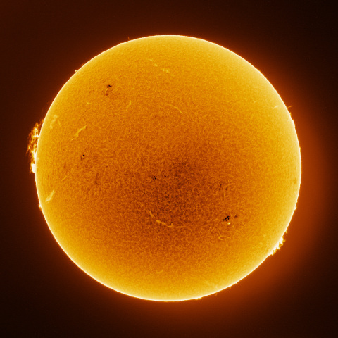 Sun 2026/03/21