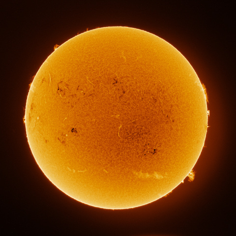 Sun 2026/05/25
