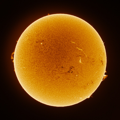 Sun 2026/05/31