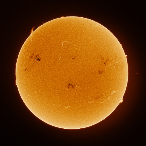 Sun 2026/06/11