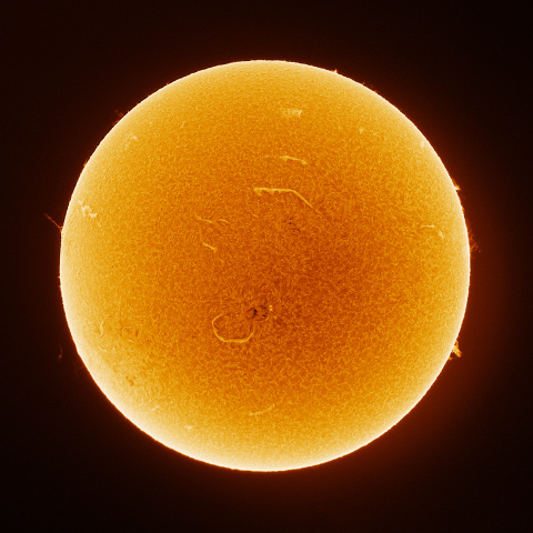Sun 2026/07/19
