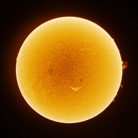 Sun 2026/07/20