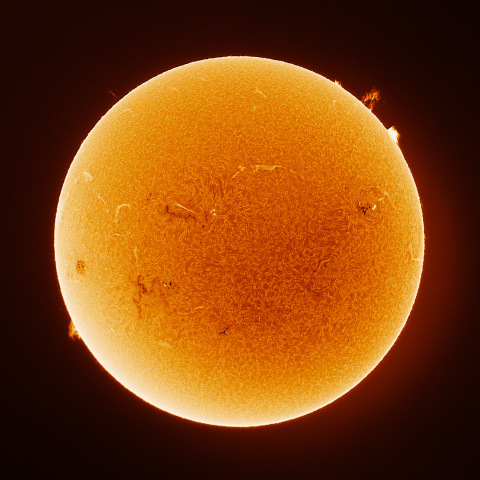 Sun 2026/07/25