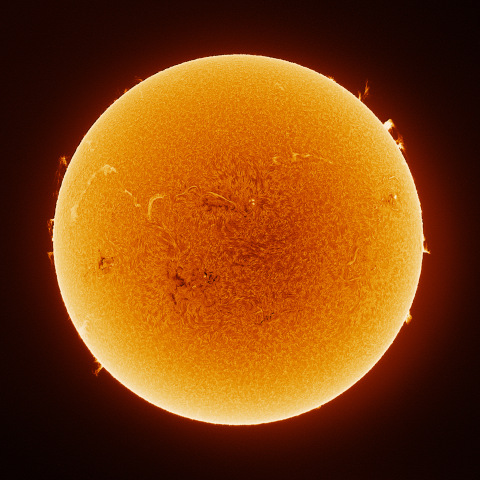 Sun 2026/07/26