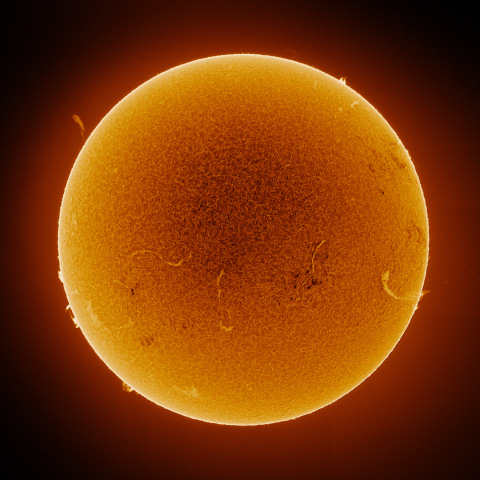 Sun 2026/08/08