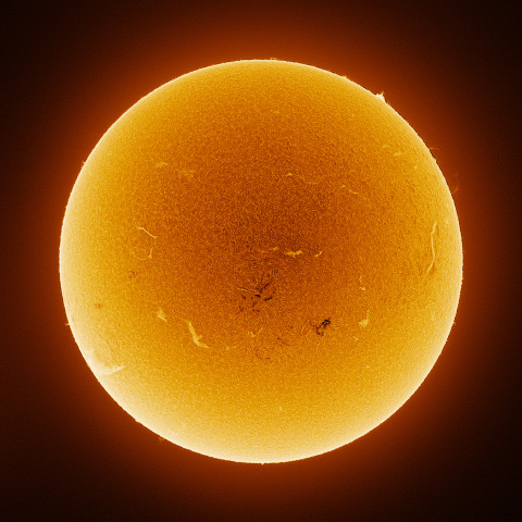 Sun 2026/08/11