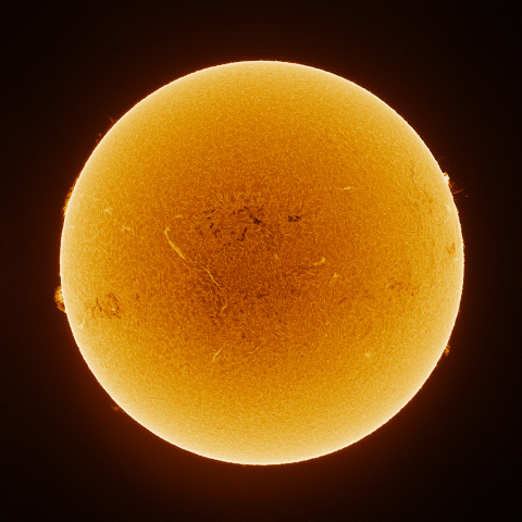 Sun 2026/08/22