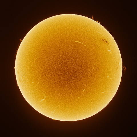 Sun 2026/10/01