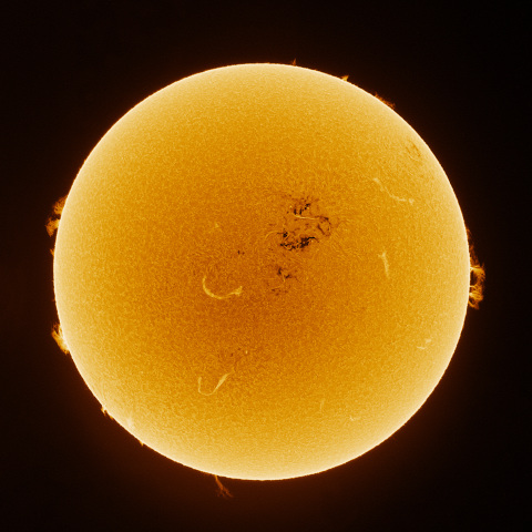 Sun 2026/10/08