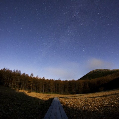 月明かりの白窪湿原と沈む夏の大三角