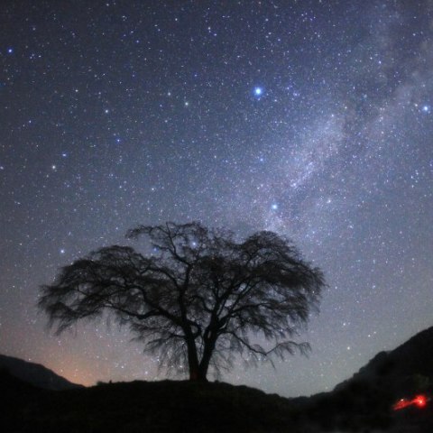 上発知の枝垂れ桜と銀河
