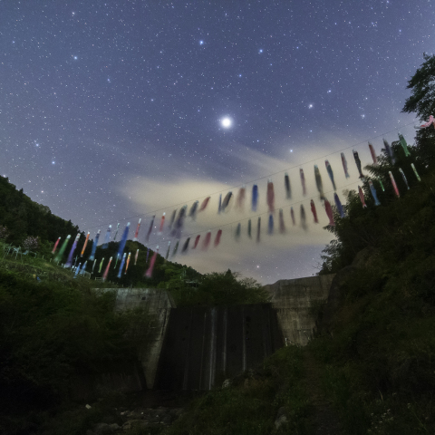 天を泳ぐこいのぼりと春の星々