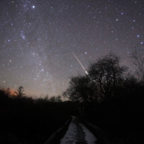 ふたご座流星群流れる戦場ヶ原の星空 