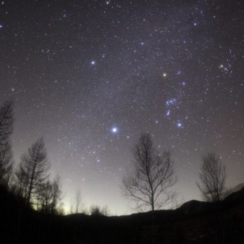 戦場ヶ原に輝く冬の星座
