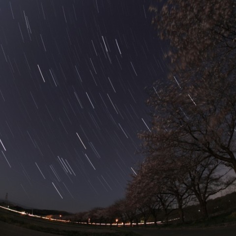 都幾川桜堤と沈む冬の星座