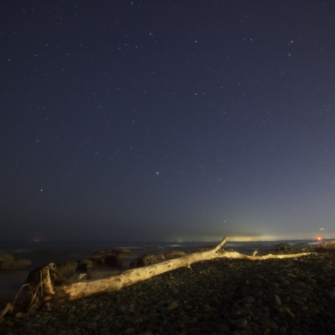 流木と星空