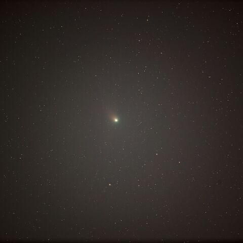 ZTF彗星　1月21日早朝