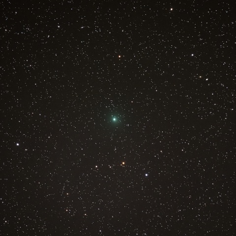 3/5のタットル・ジャコビニ・クレサック彗星