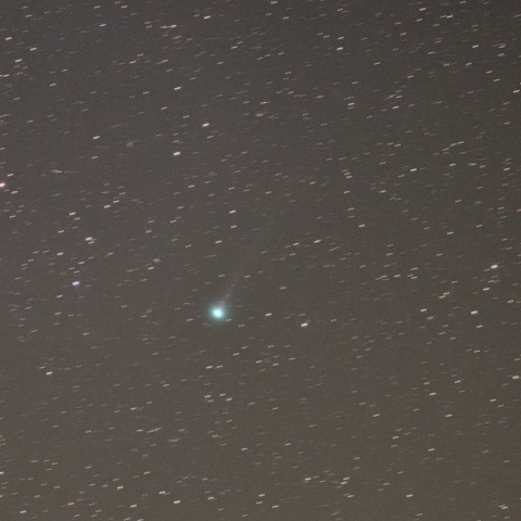 4/4のラブジョイ彗星（C/2017 E4）