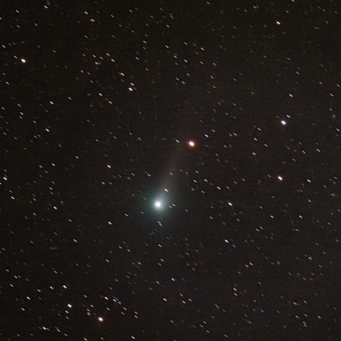 5/23のジョンソン彗星（C/2015 V2）