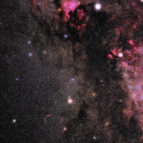 はくちょう座の東の翼