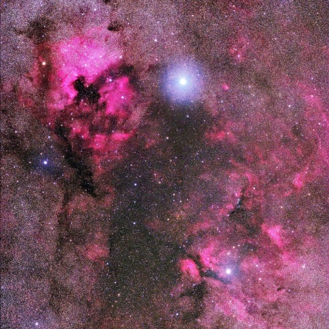 北アメリカ星雲からサドル付近