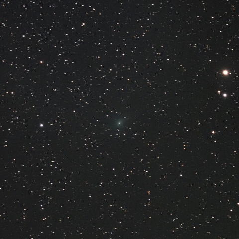 アサシン彗星（C/2017 O1）