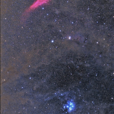 カリフォルニア星雲～プレアデス星団付近の分子雲