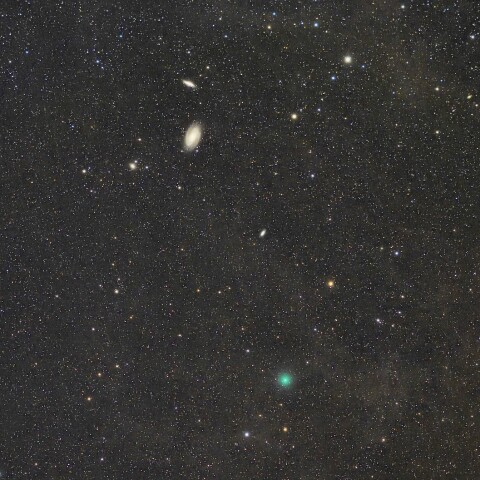 M81、M82に接近するアトラス彗星（C/2019 Y4）