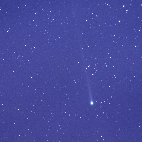 本田・ムルコス・パイドゥシャーコヴァー彗星