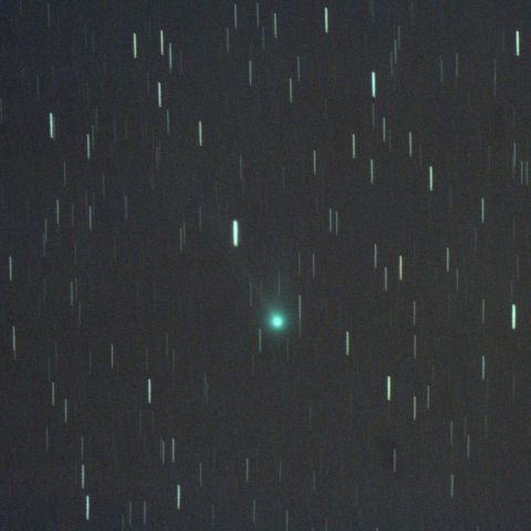 11月18日未明のマックホルツ・藤川・岩本彗星