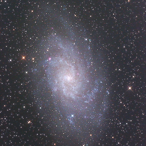 M33