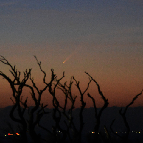 暁の空の中の紫金山・アトラス彗星