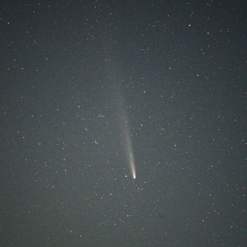 2024年10月20日の紫金山・アトラス彗星(2)