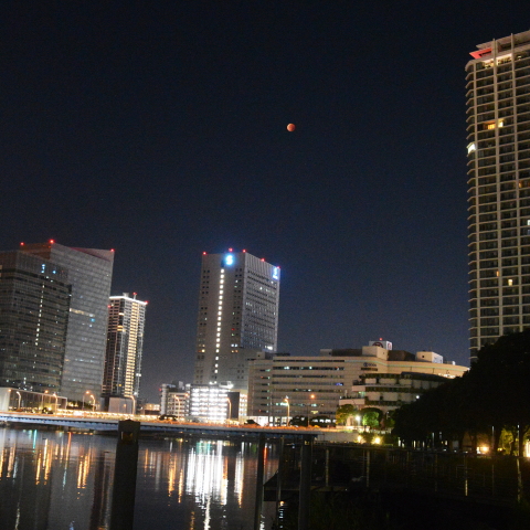 2025年09月08日の横浜市街での皆既月食