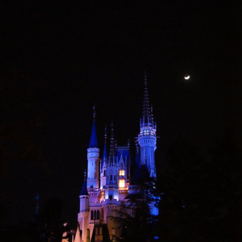 月と木星とシンデレラ城