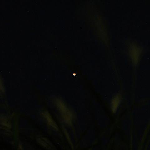 2011年12月10日の皆既月食（2）