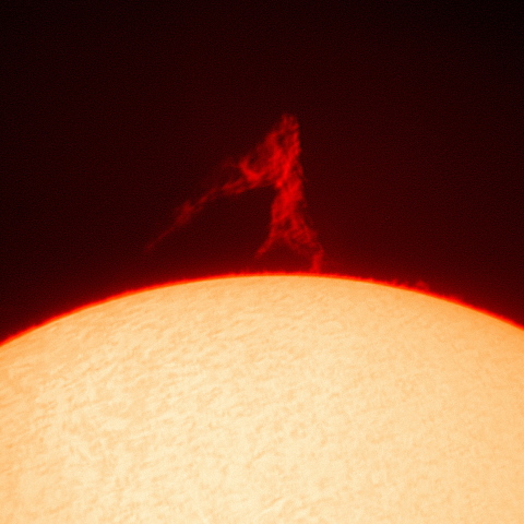 高々とあがったプロミネンス