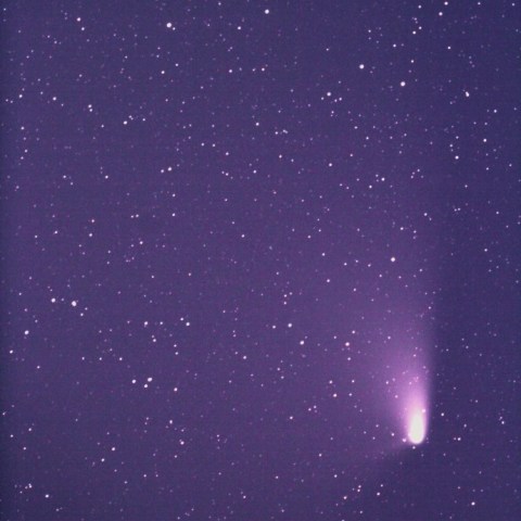 パンスターズ彗星