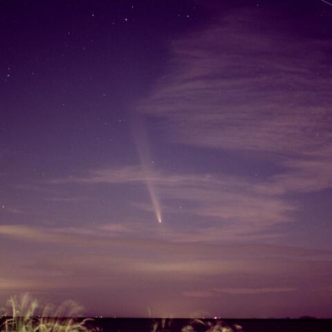 紫金山・アトラス彗星　瀬戸内海に出現