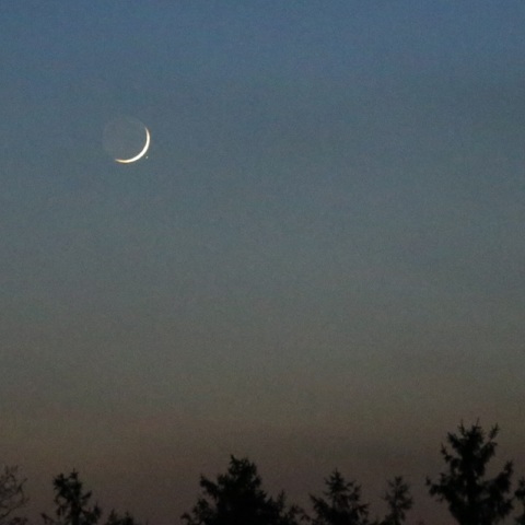 アルデバラン食　出現