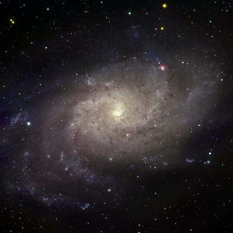 M33