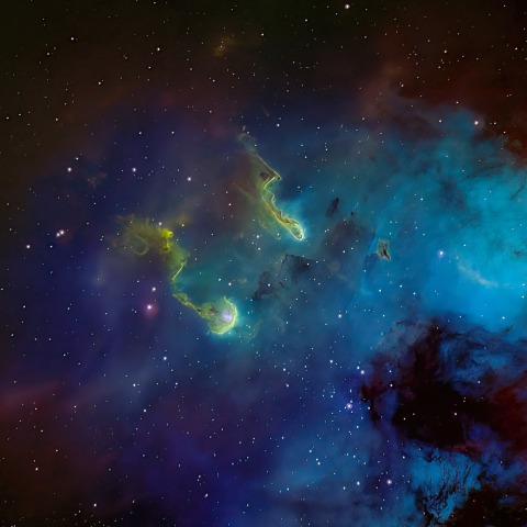 IC410 (おたまじゃくし星雲)