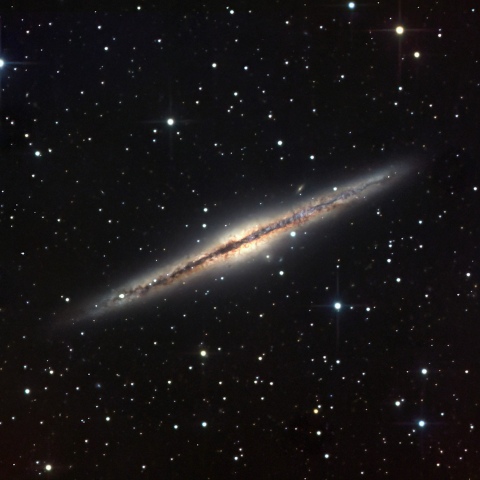 NGC891