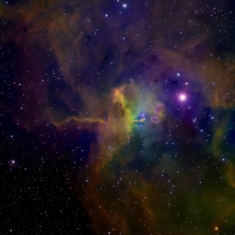 IC417 (スパイダー星雲)