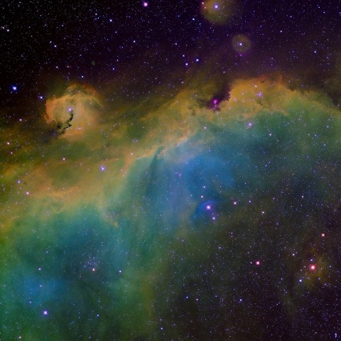 カモメ星雲（IC2177)