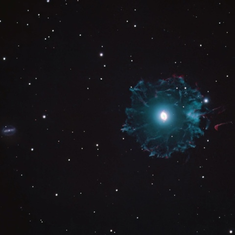 キャッツアイ星雲  (NGC6543)