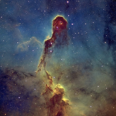 象の鼻星雲 (IC 1396A)