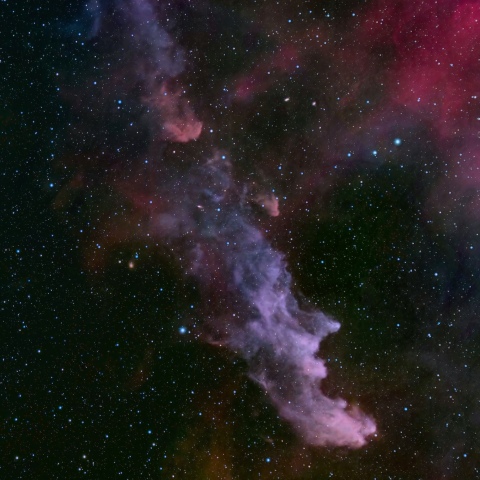 魔女の横顔星雲 (IC2118)